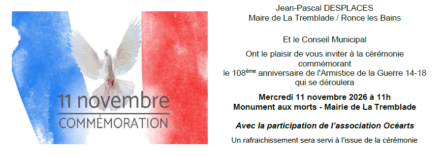 Cérémonie du 11 novembre