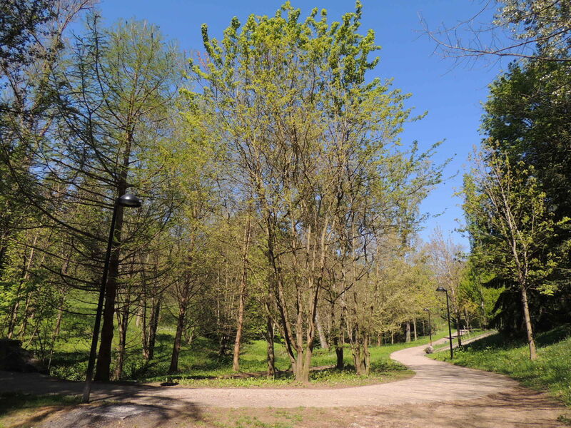Parc du Boulard