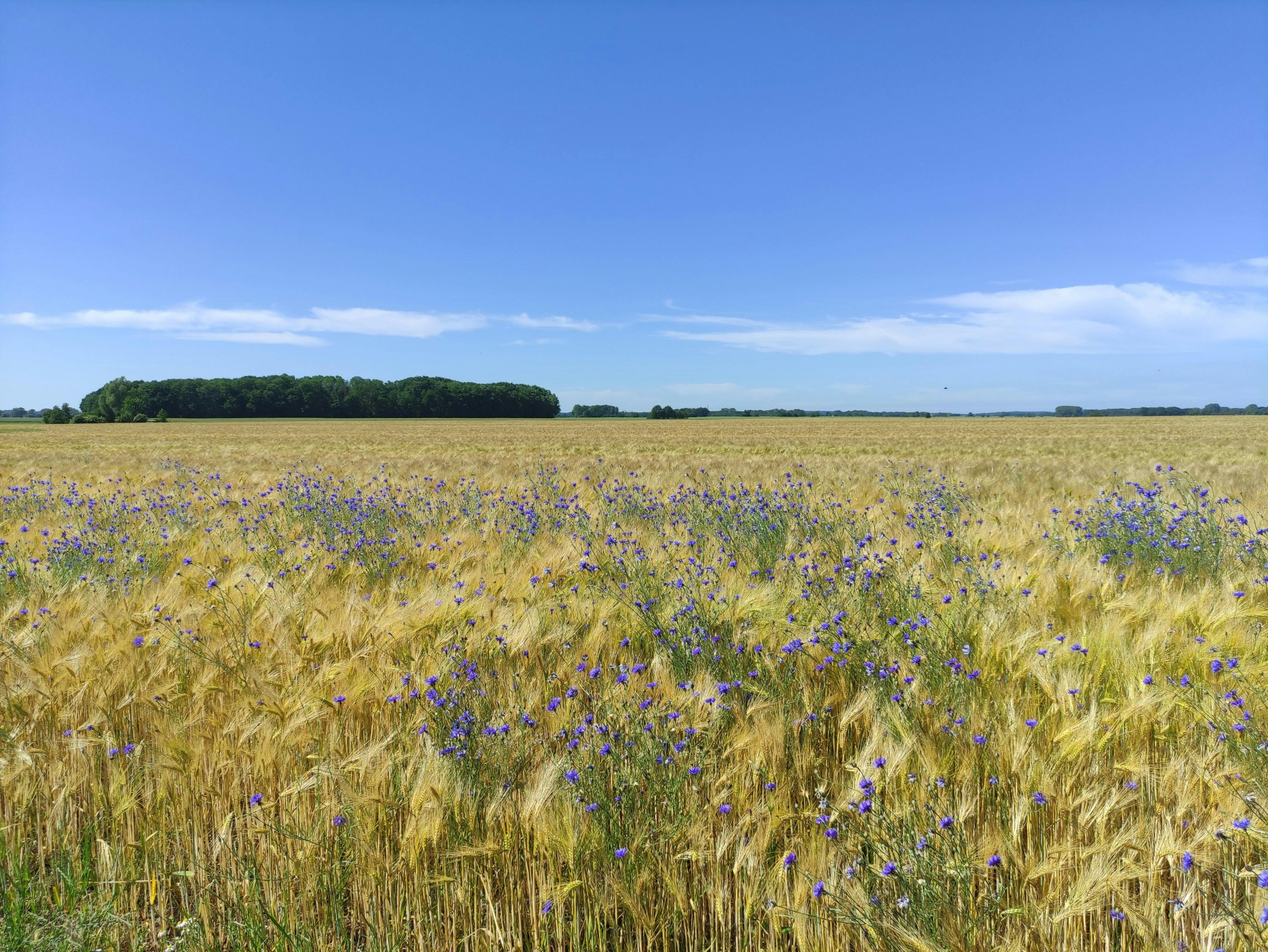 Journée régénératrice à la ferme
