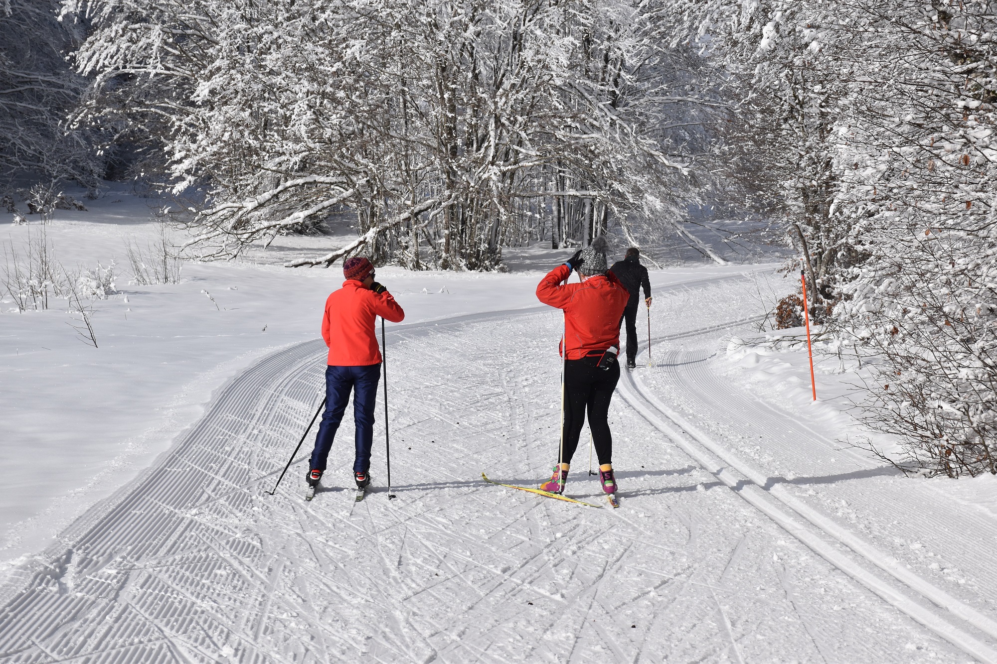 Piste noire de ski de fond du Plateau de Retord : Le Tour du Retord