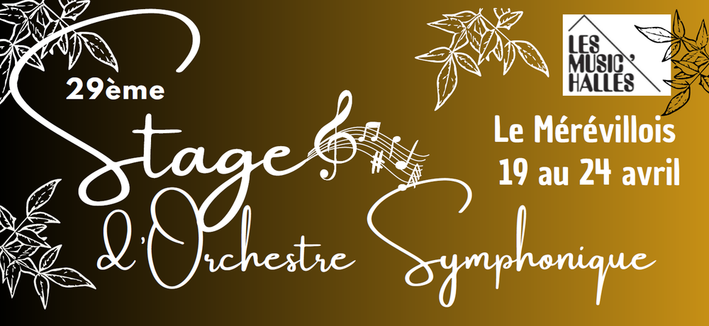 Stage d'Orchestre Symphonique_Le Mérévillois