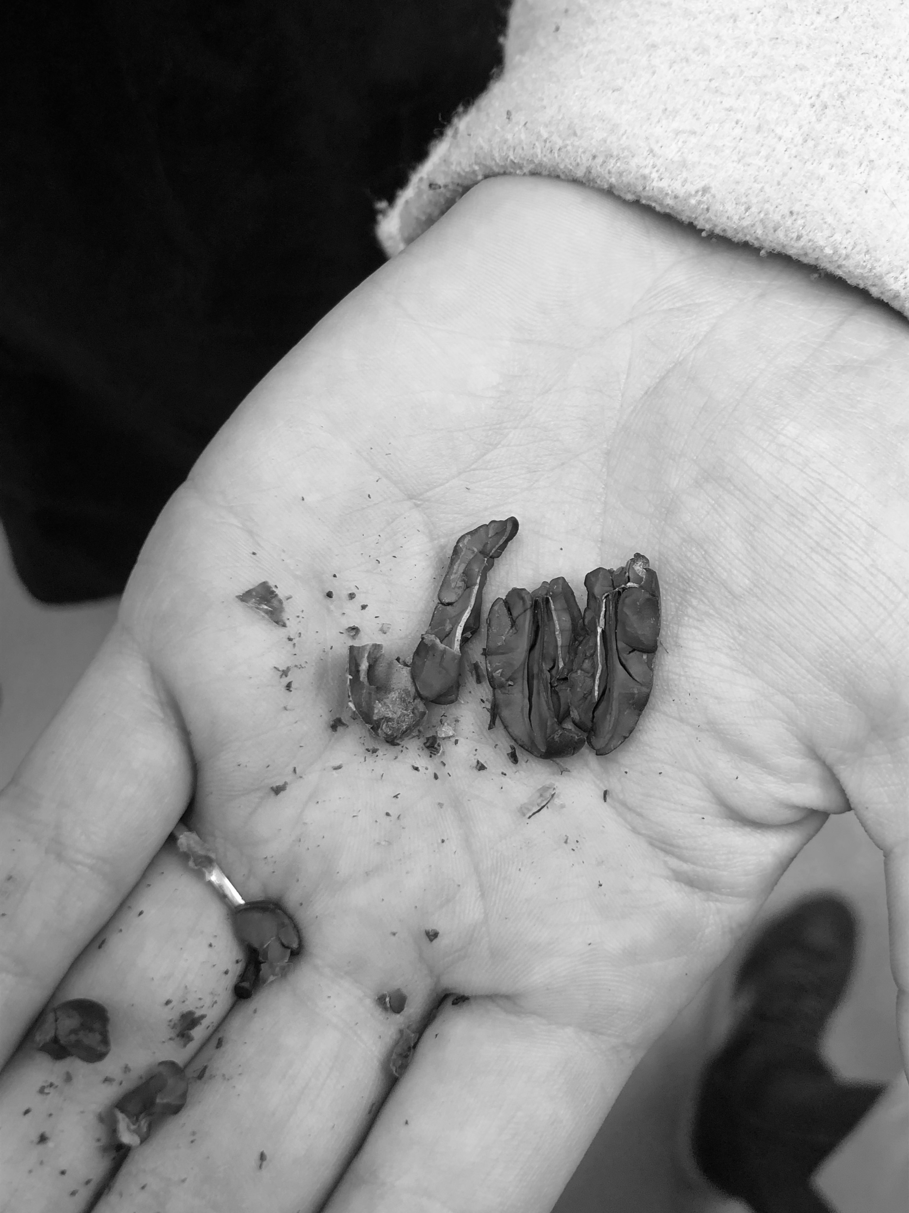 La Chocolaterie Mathieu Taborcia
