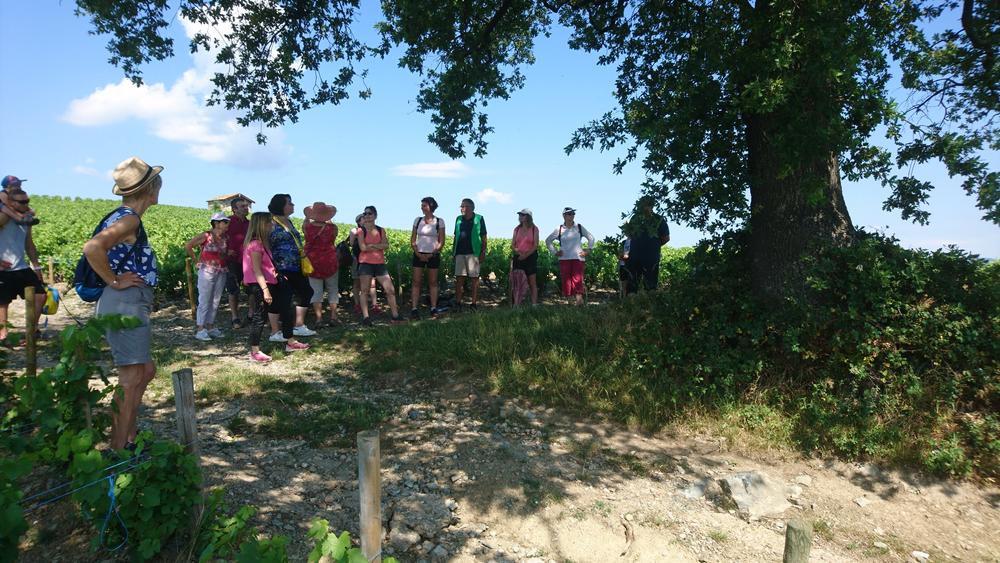 Atelier rire sous le chêne de la Côte du Py