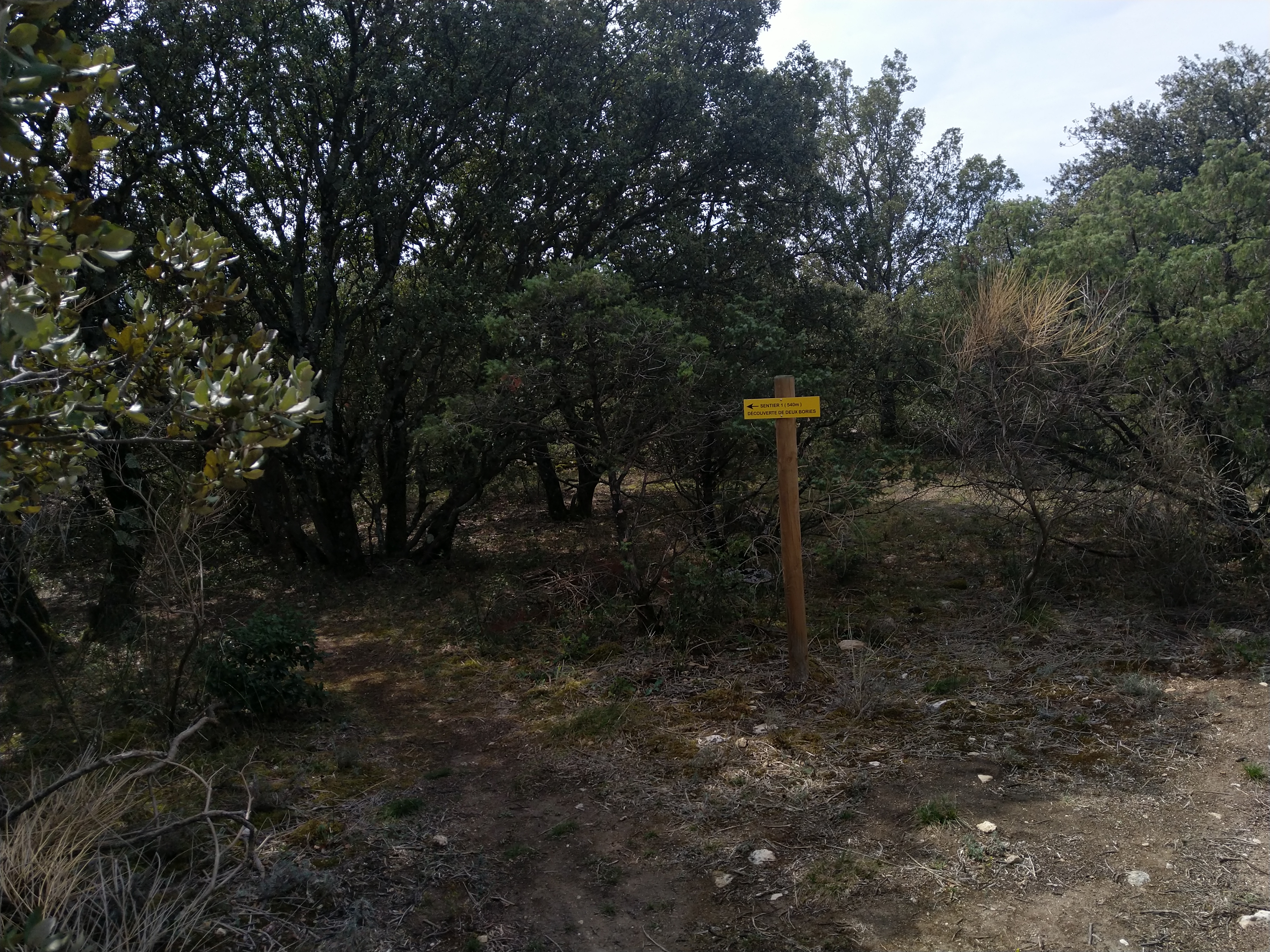 Parcours Santé Taulignan