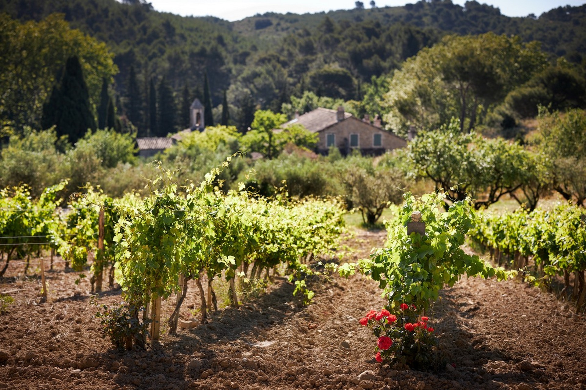 Domaine de l'Abbaye Sainte-Marie de Pierredon