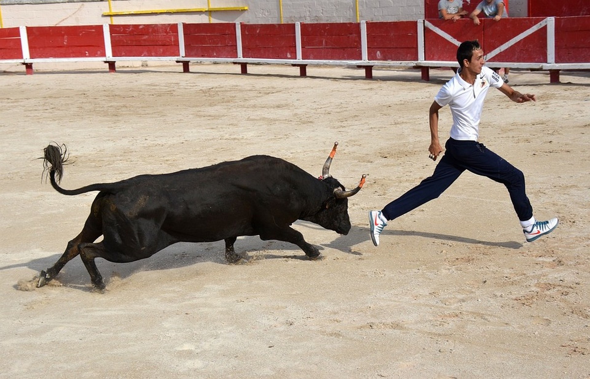 Course camarguaise catégorie Avenir