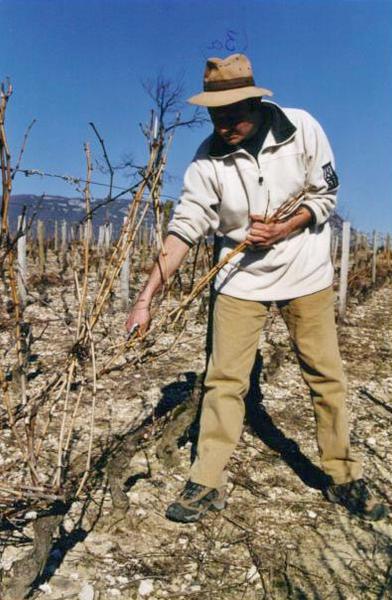 Apéro'Vignes au Domaine La cave de mon père - Musée du Vigneron_Porte-de-Savoie
