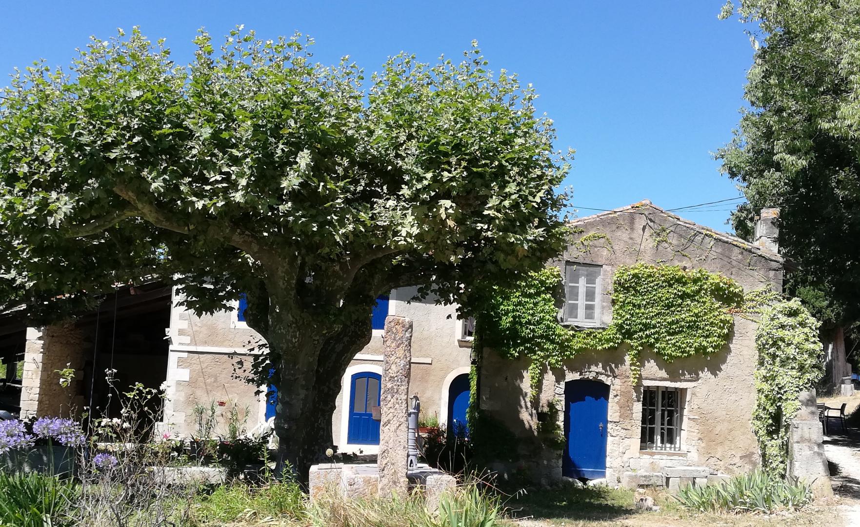 Les Micocouliers — photo 2