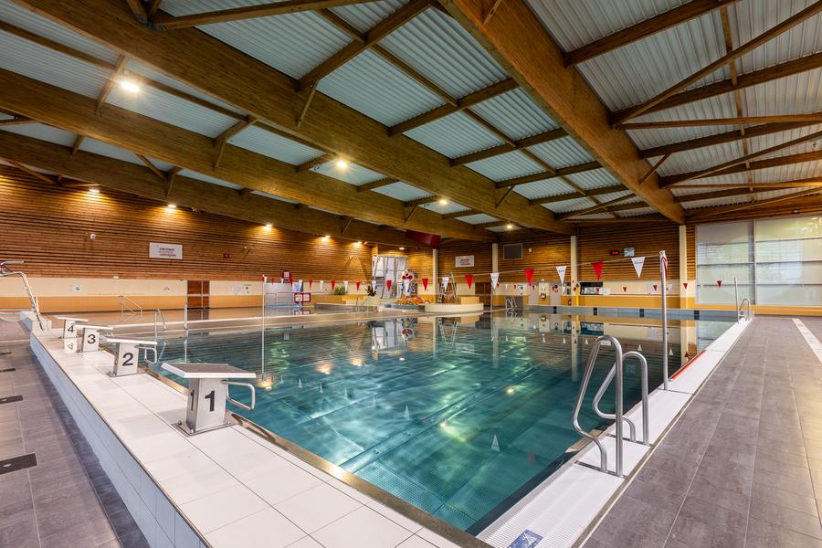 Piscine Androsace