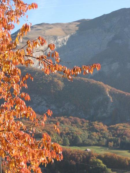 La roche de Lachat en automne
Vue du haut de Noire Combe La roche de Lachat en automne
Vue du haut de Noire Combe