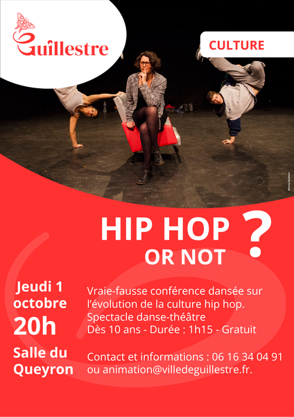 Journée hip hop