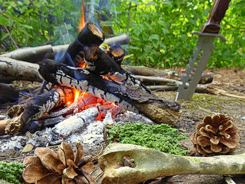 Stage bushcraft de 3 jours_Feurs