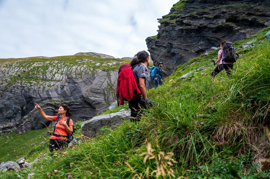 TOUR DES DENTS BLANCHES