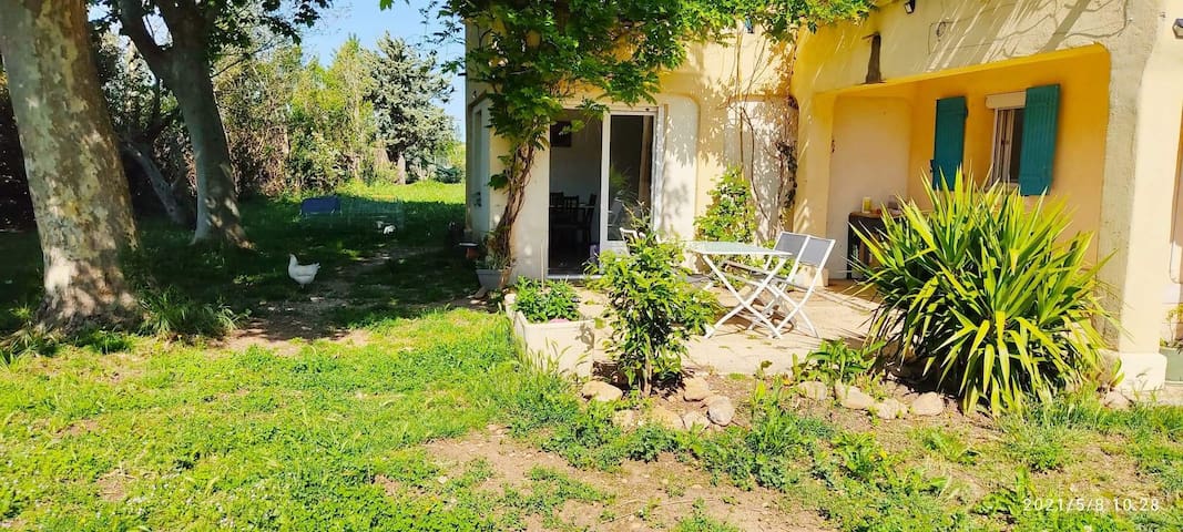 Le Mas / Gite entressen