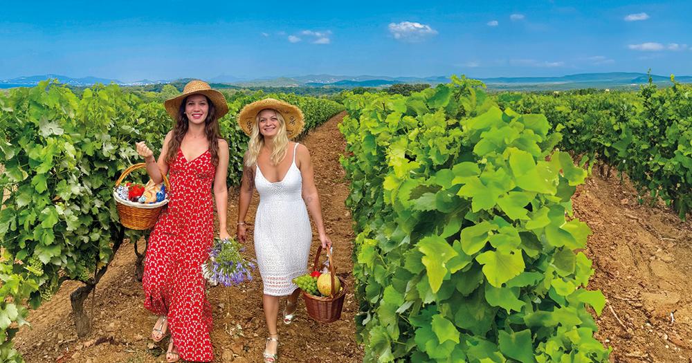 Escapade gourmande_Bormes-les-Mimosas