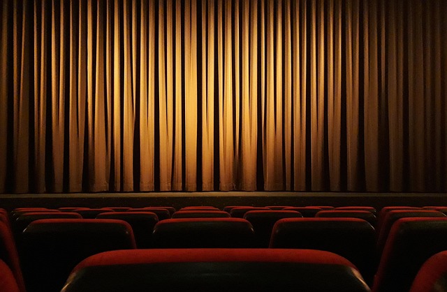 Projection du film