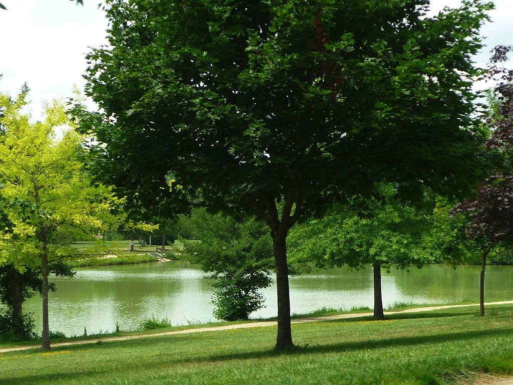 PECHE AUX LACS DE GAUGE