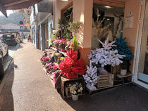 Plaisir Fleuri - Villeneuve-Loubet