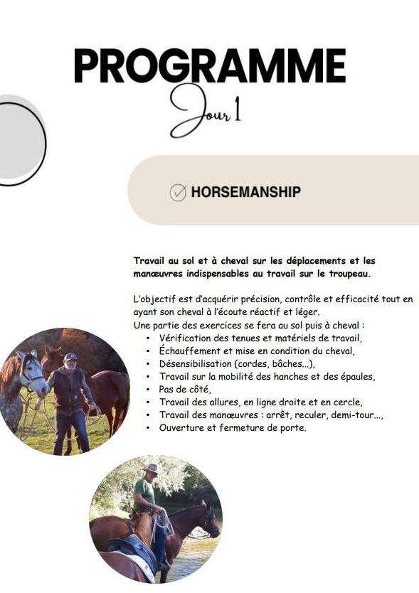 Stage découverte - Dressage cheval de ranch_Bézac