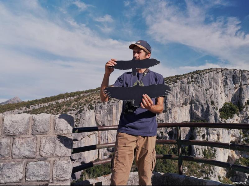 Découvrir les oiseaux et les chamois du Verdon_Castellane