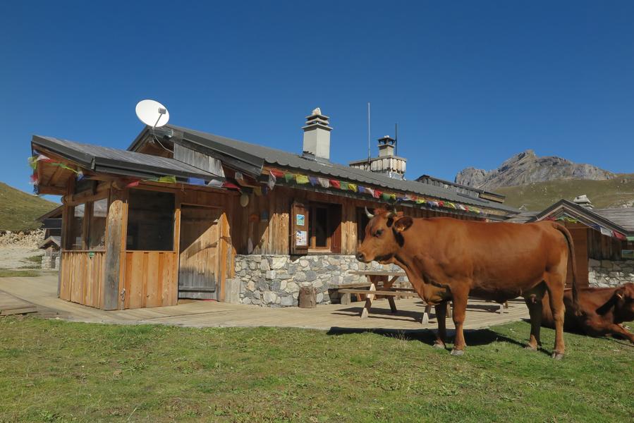 Grand Plan b 2022-09-19_26.JPG