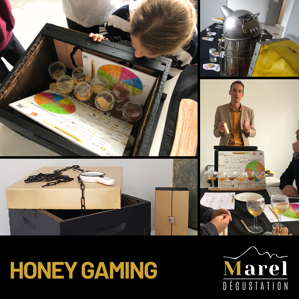 MAREL Dégustation
