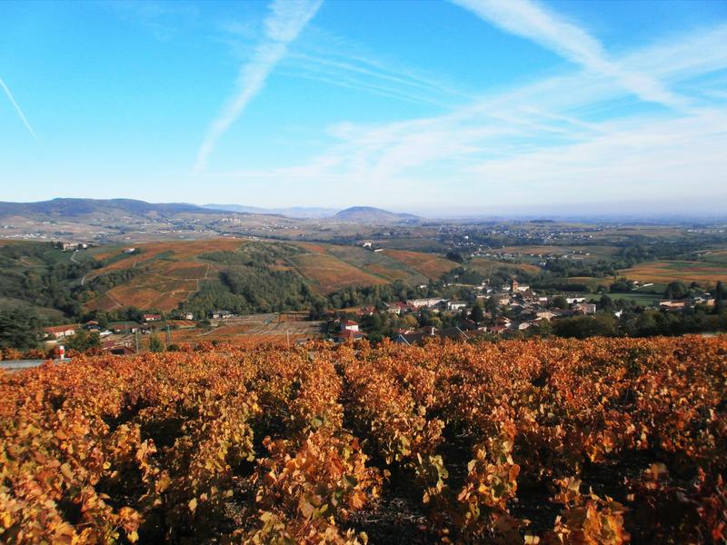 Circuit les Tétières_Blacé