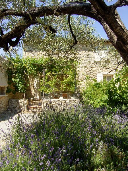 Gîte la Fenière, la Ruche