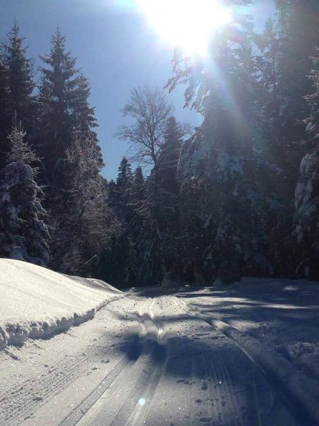 Centre montagnard de Lachat