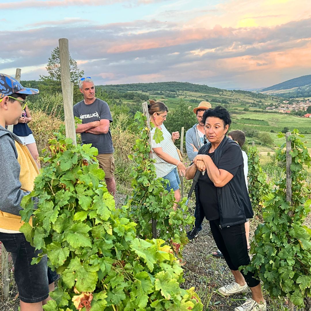 Oenobalade dans le vignoble de Boudes