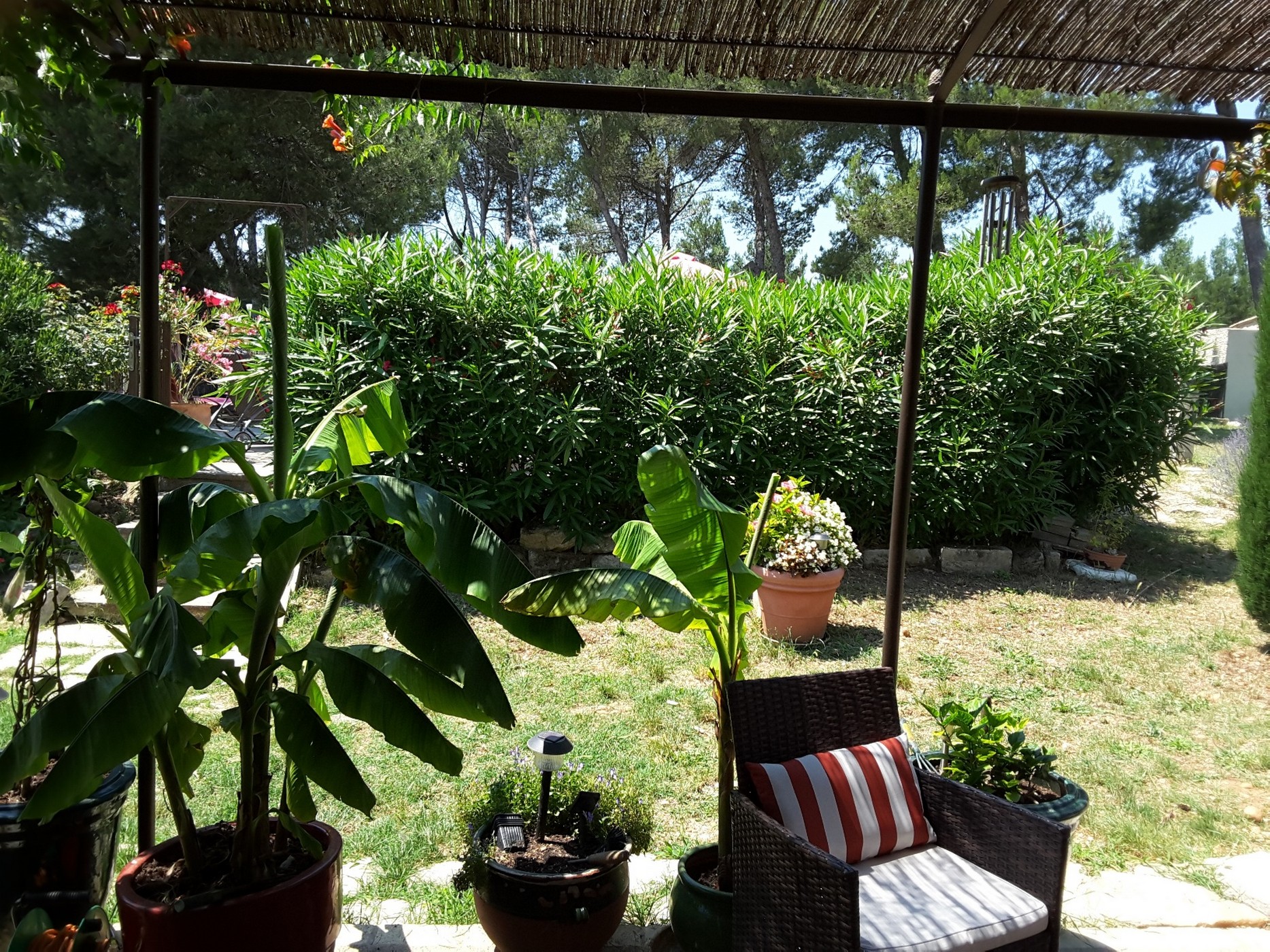 Mas Clair de Lune studio 4 - photo 4