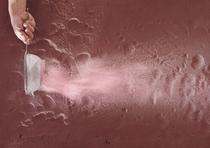 Visite de l'exposition : À travers leurs regards_Vienne