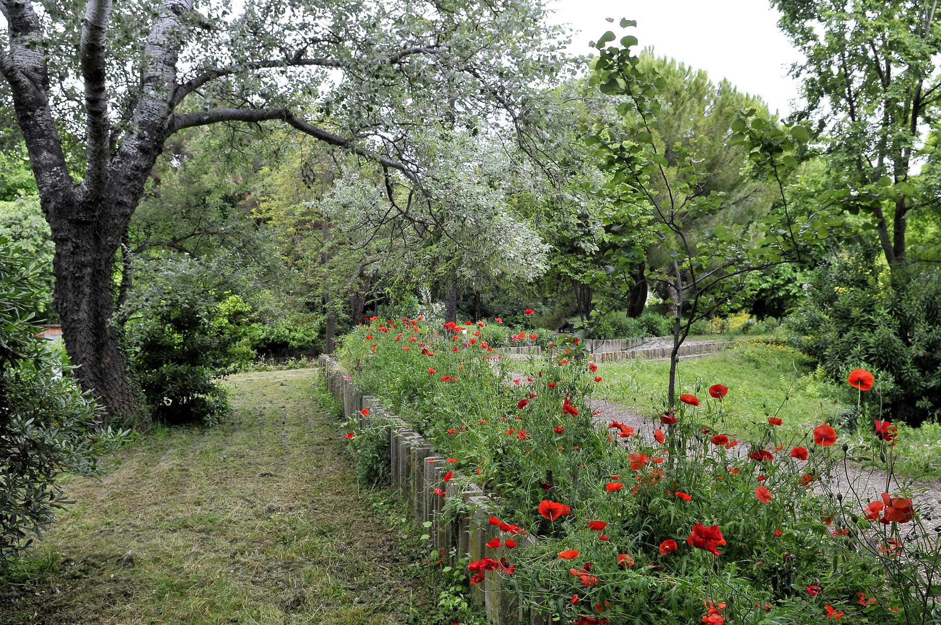 Parc Central de Bonneveine - Ville de Marseille