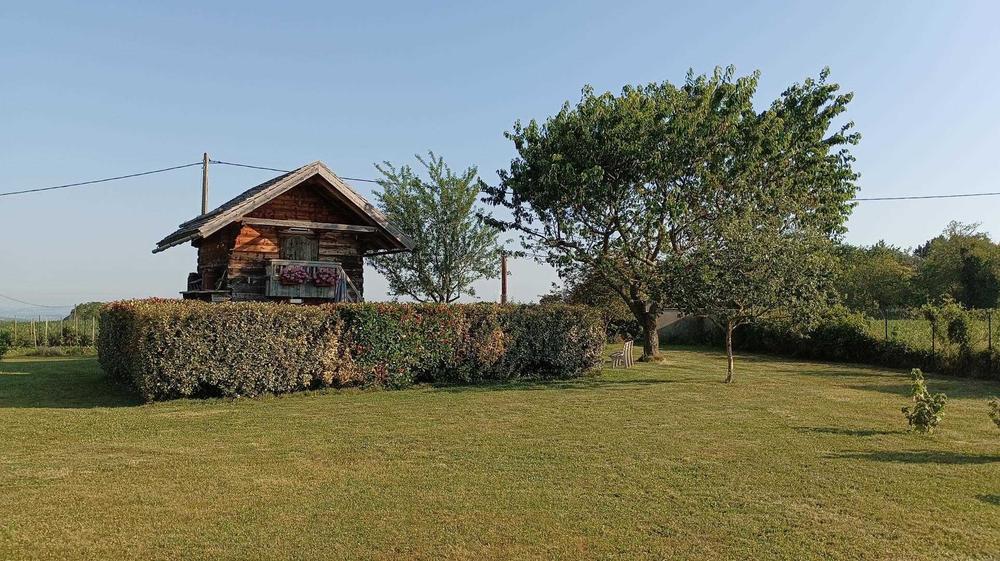 Exposition Sud/Sud-Est