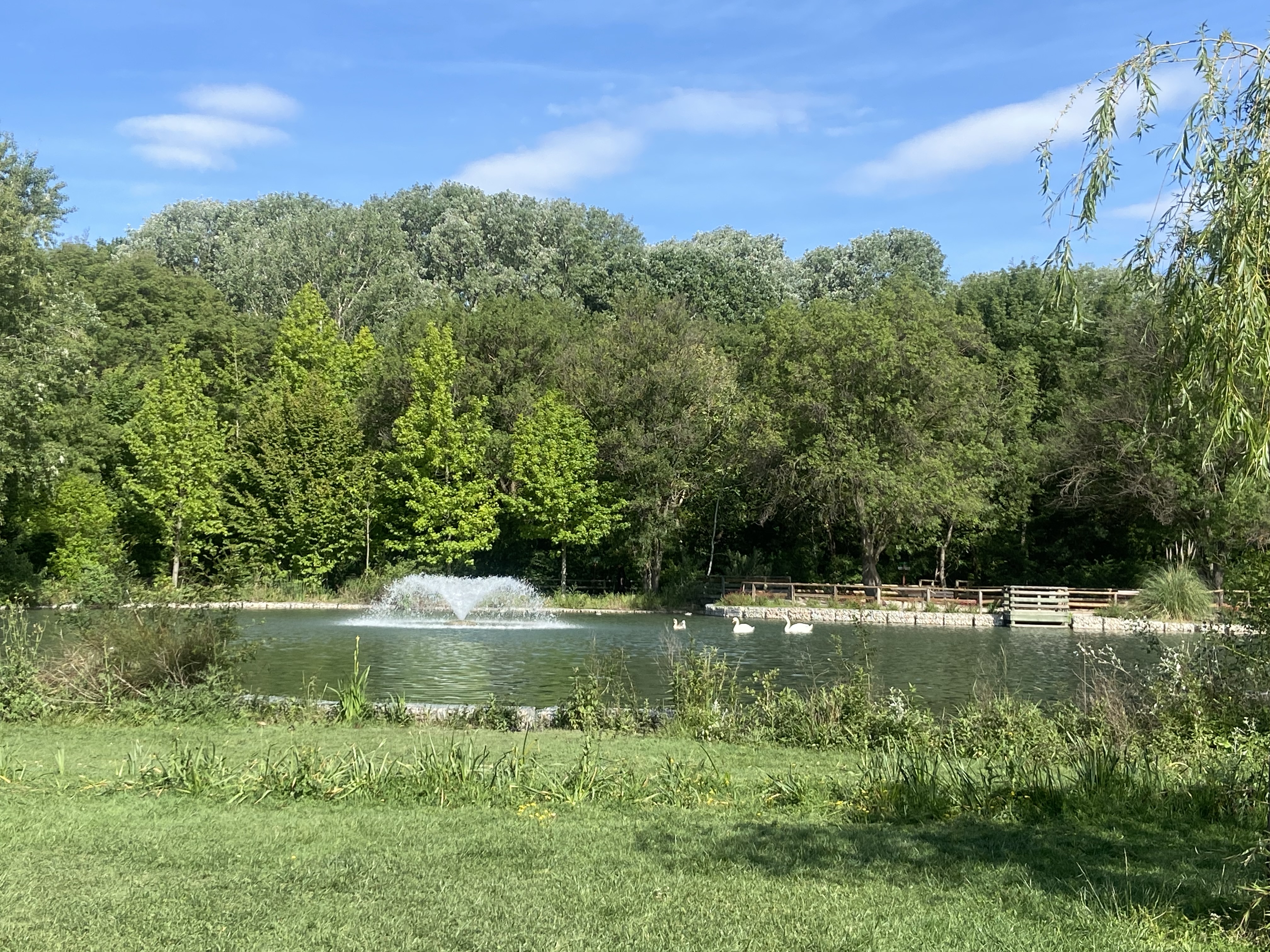 Le jardin de Gaston - photo 3