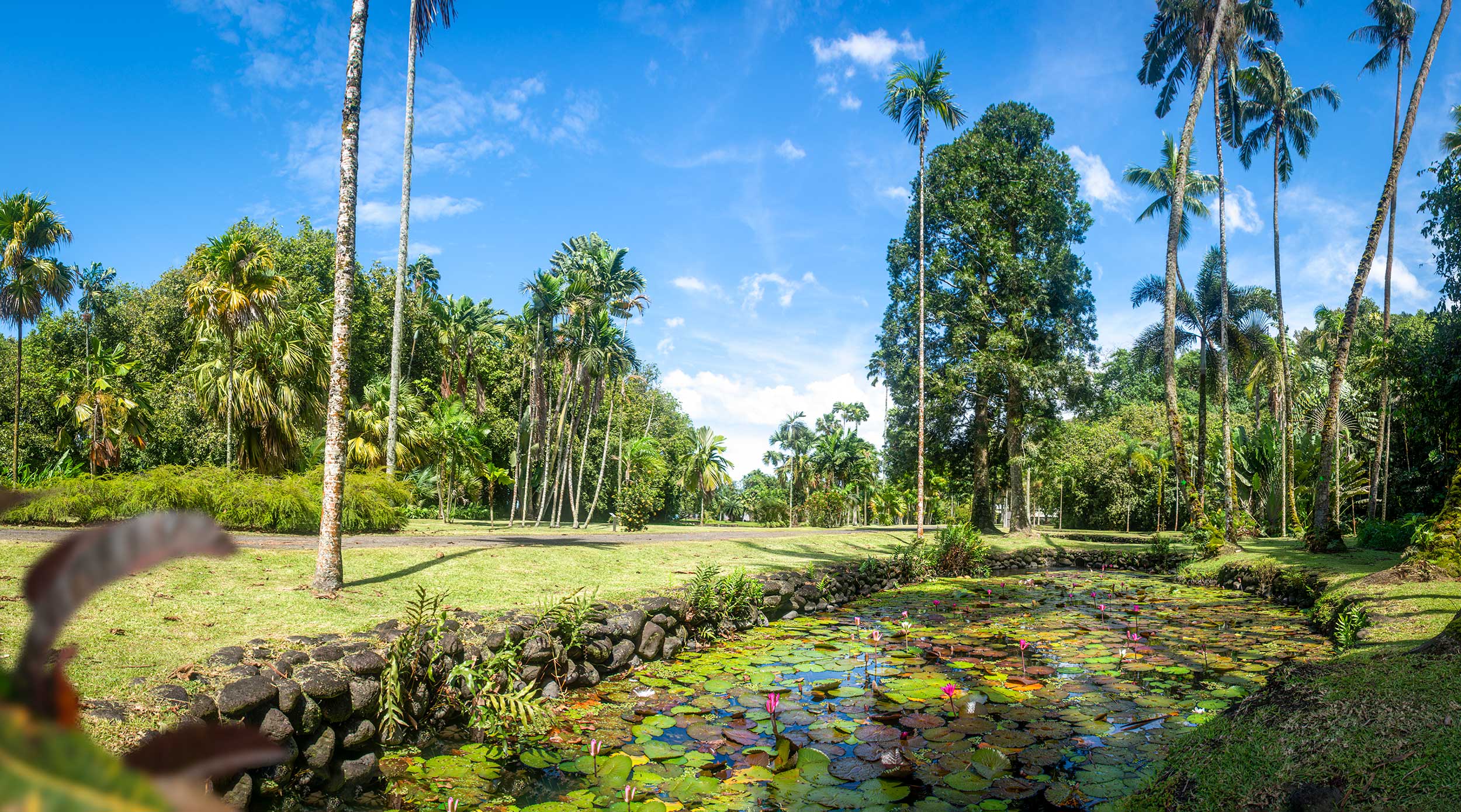 Jardin Botanique Harrison Smith