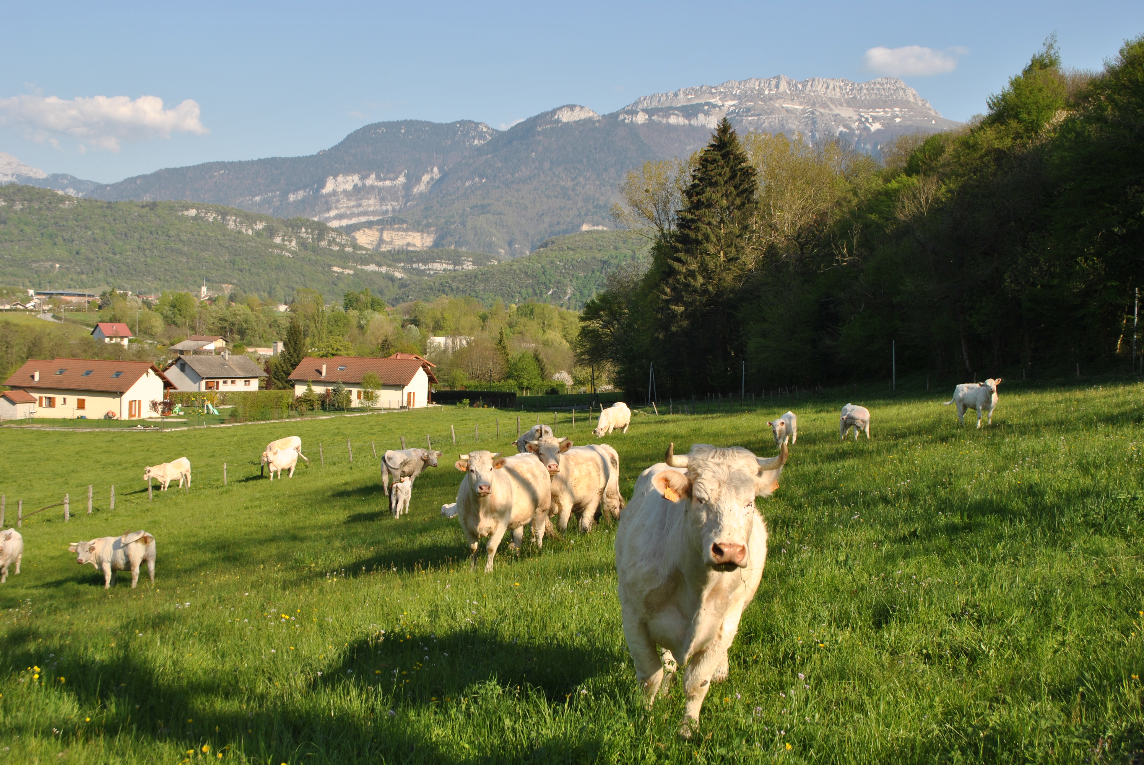 photosFeed-https://static.apidae-tourisme.com/filestore/objets-touristiques/images/16/210/2216464.jpg