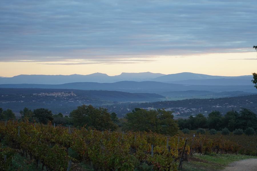 Domaine du Deffends_Saint-Maximin-la-Sainte-Baume