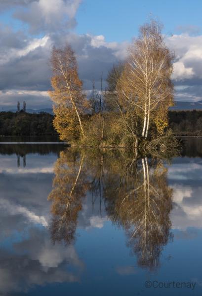 Courtenay - Balcons du Dauphiné - Nord-Isère - à moins d'une heure de Lyon