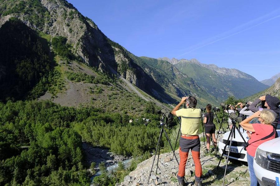 Fête de la nature : gypaètes et lac du Lauzon avec le Parc national des Ecrins