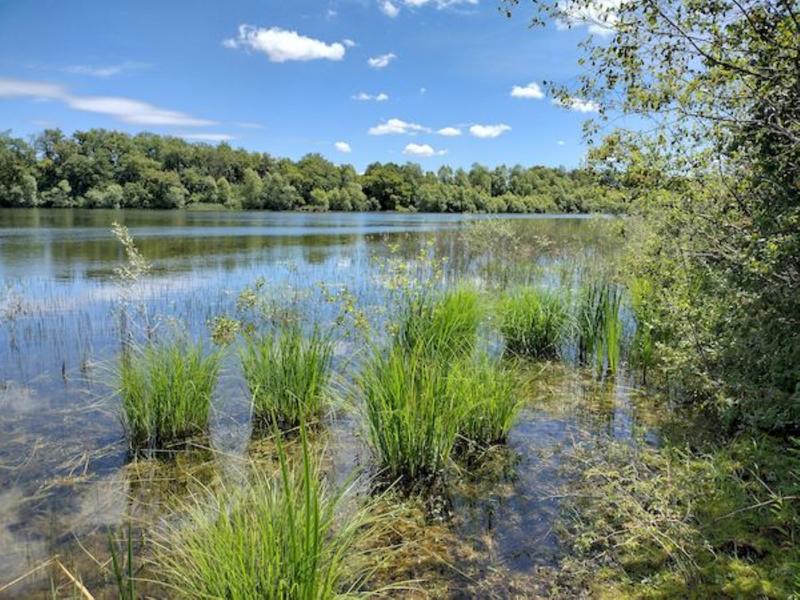 Sortie Lo Parvi : lecture de paysage et approche des milieux naturels