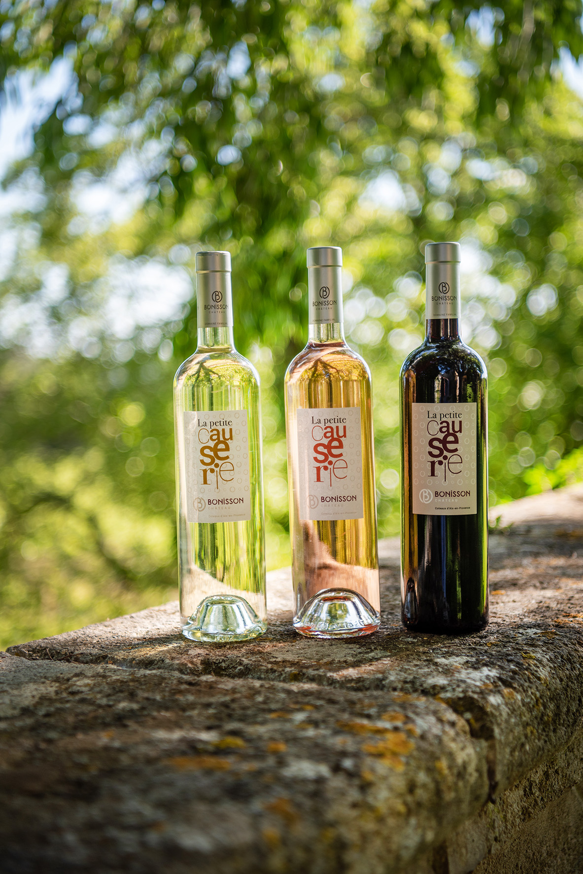 Domaine - Château Bonisson, Rognes - photo 11