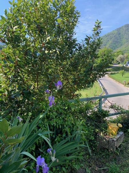 Gîte Le Doudou d'Anathéo-Fleurs-Roquebillière-Gîtes de France des Alpes-Maritimes
