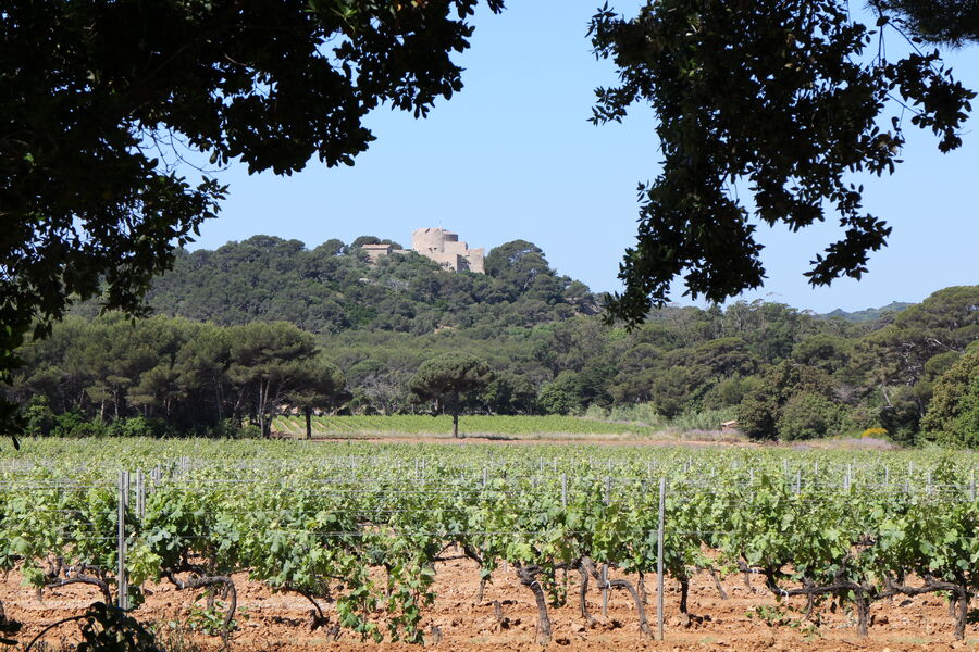 Domaine de la Courtade vin de l'île de Porquerolles