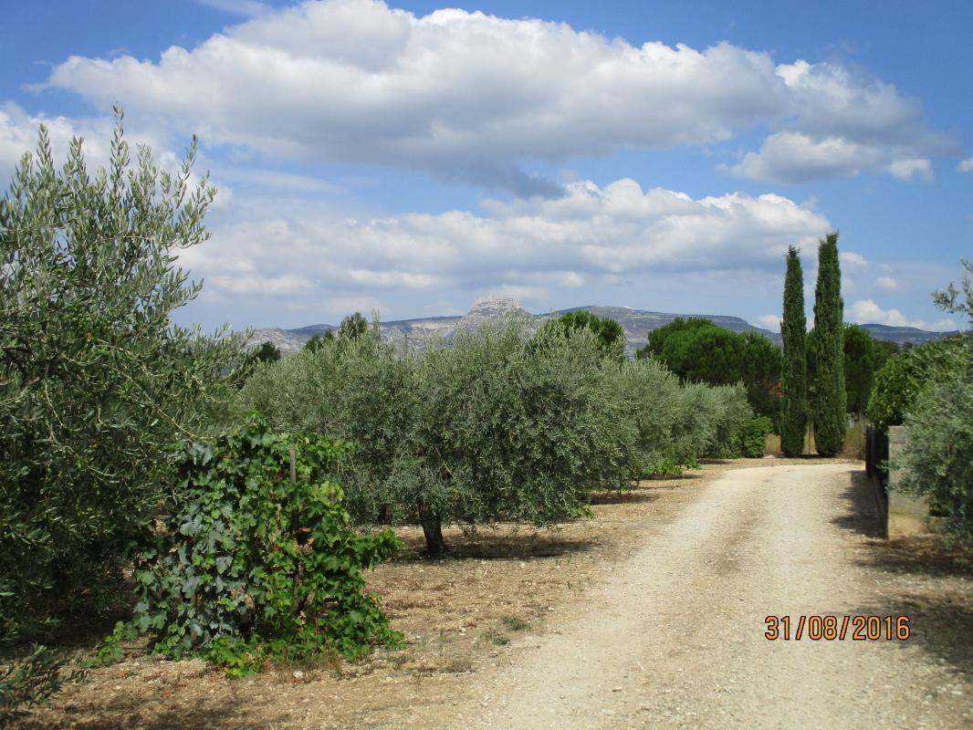 Le Figuier, Gémenos - photo 10