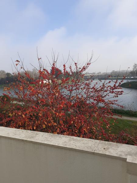 Vue sur plan d'eau
