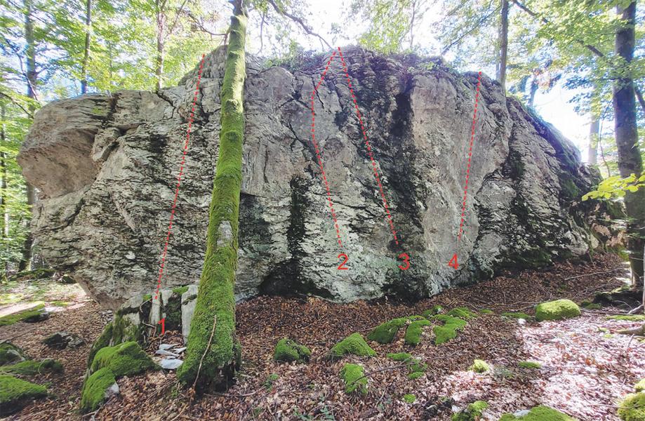 Blocs d'escalade du Plateau d'Assy_Passy