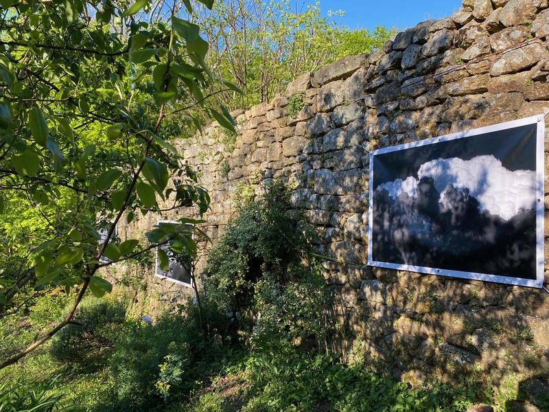 Expositions au Château du Pin