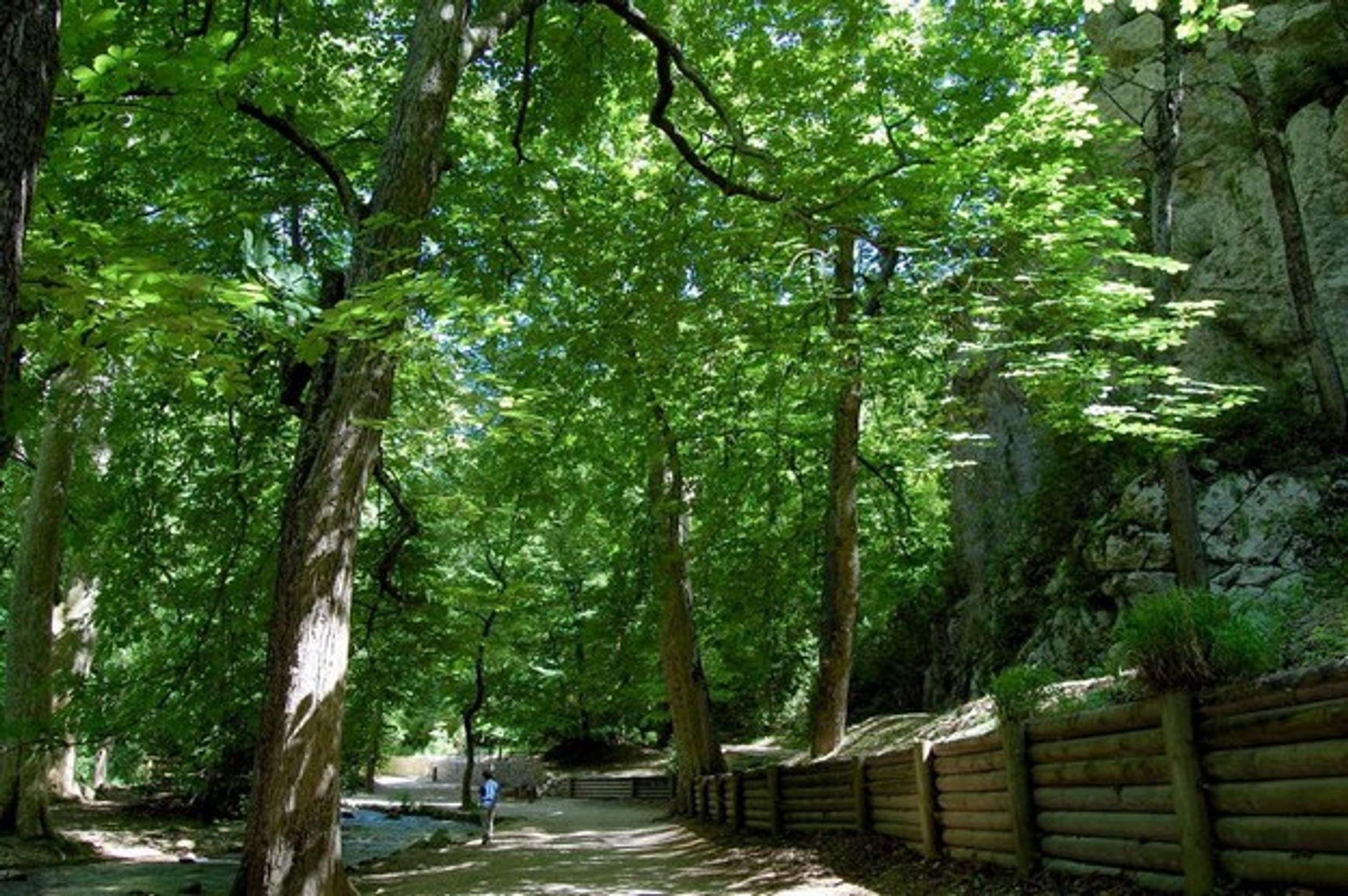 GÉMENOS - Le sentier de la glacière, Gémenos - photo 3