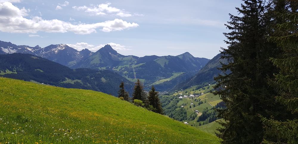 Vue depuis le Mont